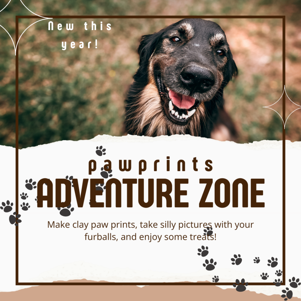 Pawprints Adventure Zone (1)
