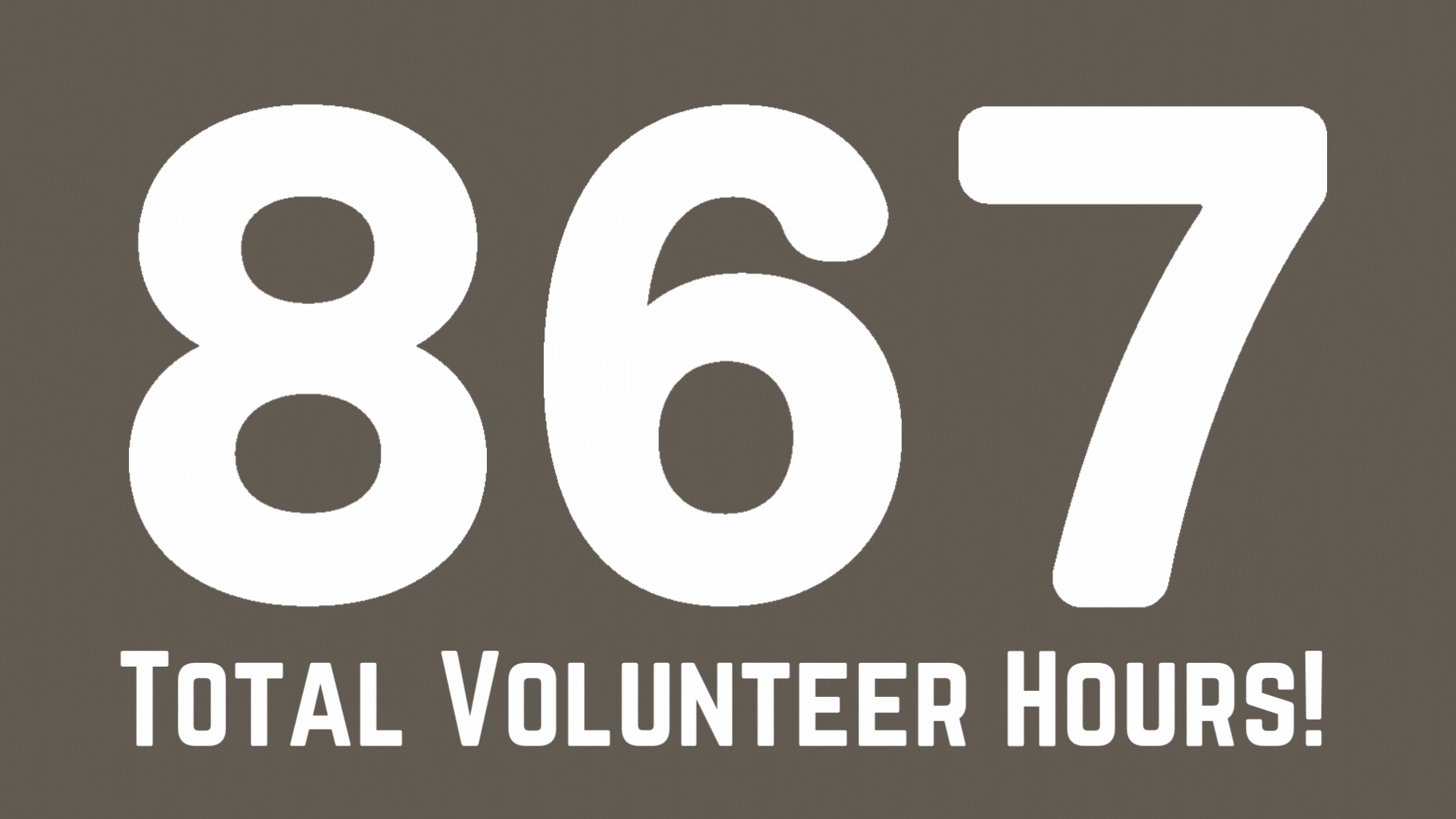 Total Volunteer Hours! (1)